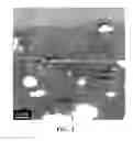 Fig. 04 - Polymer blend compositions