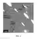 Fig. 07 - Polymer blend compositions