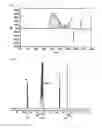 Fig. 02 - Polymer composition for cement dispersant and method for producing same