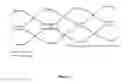 Fig. 02 - Bioresorbable thermoset polyester/urethane elastomers