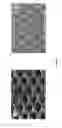 Fig. 05 - Bioresorbable thermoset polyester/urethane elastomers