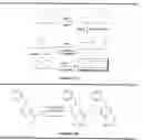 Fig. 06 - Contoxin analogues and methods for synthesis of intramolecular dicarba bridge-containing peptides