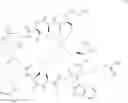 Fig. 167 - Contoxin analogues and methods for synthesis of intramolecular dicarba bridge-containing peptides