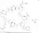 Fig. 67 - Contoxin analogues and methods for synthesis of intramolecular dicarba bridge-containing peptides