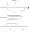 Fig. 71 - Contoxin analogues and methods for synthesis of intramolecular dicarba bridge-containing peptides