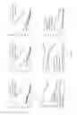 Fig. 03 - Identification, optimization and use of shared HLA-B*0702 epitopes for immunotherapy