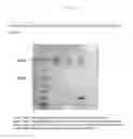 Fig. 02 - Host cells and methods of use
