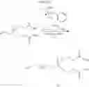 Fig. 57 - Phosphonates synthons for the synthesis of phosphonates derivatives showing better bioavailability