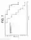 Fig. 08 - ANTIBODIES TO IL-6 AND USE THEREOF