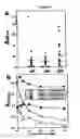 Fig. 05 - Methods For Detecting And Analyzing N-Glycolylneuraminic Acid (NEU5GC) In Biological Materials