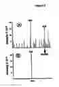 Fig. 07 - Methods For Detecting And Analyzing N-Glycolylneuraminic Acid (NEU5GC) In Biological Materials