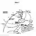Fig. 08 - Methods For Detecting And Analyzing N-Glycolylneuraminic Acid (NEU5GC) In Biological Materials
