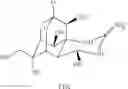 Fig. 02 - SYNTHESIS OF TTX INTERMEDIATES