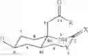 Fig. 07 - SYNTHESIS OF TTX INTERMEDIATES