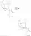 Fig. 22 - SYNTHESIS OF TTX INTERMEDIATES