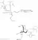 Fig. 32 - SYNTHESIS OF TTX INTERMEDIATES