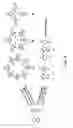 Fig. 03 - Polycyclic compounds, termed calixurenes, and uses thereof