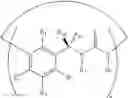 Fig. 12 - Polycyclic compounds, termed calixurenes, and uses thereof