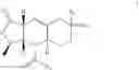 Fig. 04 - Exo-selective synthesis of himbacine analogs