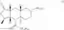 Fig. 23 - Exo-selective synthesis of himbacine analogs