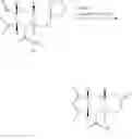 Fig. 55 - Exo-selective synthesis of himbacine analogs