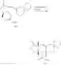Fig. 57 - Exo-selective synthesis of himbacine analogs