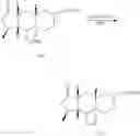 Fig. 68 - Exo-selective synthesis of himbacine analogs