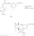 Fig. 71 - Exo-selective synthesis of himbacine analogs