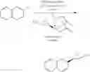 Fig. 43 - Cyclopropyl MIDA boronate