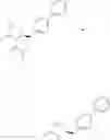 Fig. 111 - Process for preparing 5-biphenyl-4-amino-2-methyl pentanoic acid