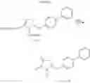 Fig. 20 - Process for preparing 5-biphenyl-4-amino-2-methyl pentanoic acid