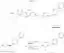 Fig. 62 - Process for preparing 5-biphenyl-4-amino-2-methyl pentanoic acid