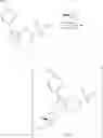 Fig. 12 - PROCESS FOR THE PREPARATION OF CATHEPSIN S INHIBITORS