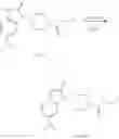 Fig. 146 - PROCESS FOR THE PREPARATION OF CATHEPSIN S INHIBITORS