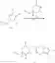 Fig. 28 - PROCESS FOR THE PREPARATION OF CATHEPSIN S INHIBITORS