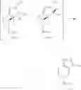 Fig. 63 - PROCESS FOR THE PREPARATION OF CATHEPSIN S INHIBITORS