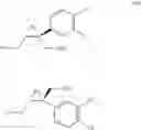 Fig. 15 - Process For The Synthesis Of (+) And (-)-1-(3,4-Dichlorophenyl)-3-Azabicycle[3.1.0]Hexane