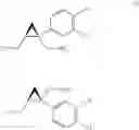 Fig. 27 - Process For The Synthesis Of (+) And (-)-1-(3,4-Dichlorophenyl)-3-Azabicycle[3.1.0]Hexane