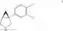 Fig. 28 - Process For The Synthesis Of (+) And (-)-1-(3,4-Dichlorophenyl)-3-Azabicycle[3.1.0]Hexane