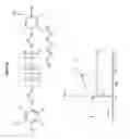 Fig. 03 - Silicone compositions and methods for preparing them
