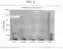 Fig. 08 - PRODUCTION OF FATTY ACIDS & DERIVATIVES THEREOF