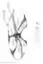 Fig. 25 - COLLAPSIBLE BARRIER FOR ORGAN RETENTION AND METHOD OF USE