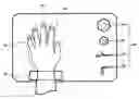 Fig. 01 - PHYSIOLOGICAL SIGNAL DETECTION SYSTEM CAPABLE OF SHOWING EMOTIONS, DEVICE AND EMOTIONAL DISPLAY METHOD