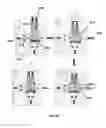 Fig. 25 - System and method useful for sarcomere imaging via objective-based microscopy