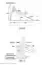 Fig. 06 - COMPUTERIZE HEALTH MANAGEMENT METHOD AND HEALTH MANAGEMENT ELECTRONIC DEVICE