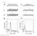 Fig. 03 - METHOD OF EVALUATING SUITABILITY FOR DRUG THERAPY FOR THE PREVENTION AND TREATMENT OF ANXIETY DISORDERS USING CHOLINERGIC TYPE II THETA RHYTHM