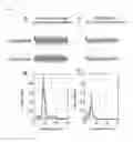 Fig. 04 - METHOD OF EVALUATING SUITABILITY FOR DRUG THERAPY FOR THE PREVENTION AND TREATMENT OF ANXIETY DISORDERS USING CHOLINERGIC TYPE II THETA RHYTHM