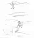 Fig. 08 - Pure silver device and method for diagnosing and treating pain in the human body