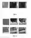 Fig. 06 - TISSUE SAMPLE ANALYSIS