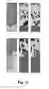 Fig. 07 - TISSUE SAMPLE ANALYSIS